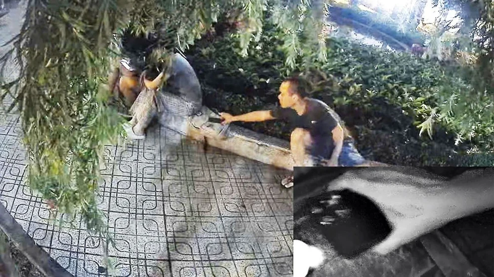 Công an TP.HCM phát cảnh báo về tội phạm dịp Tết