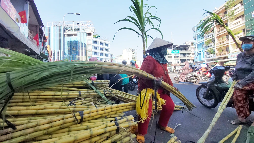 dan-tp-hcm-lua-tung-cay-mia-vang-cung-ngoc-hoang-mong-gia-dao-binh-an (10).jpg