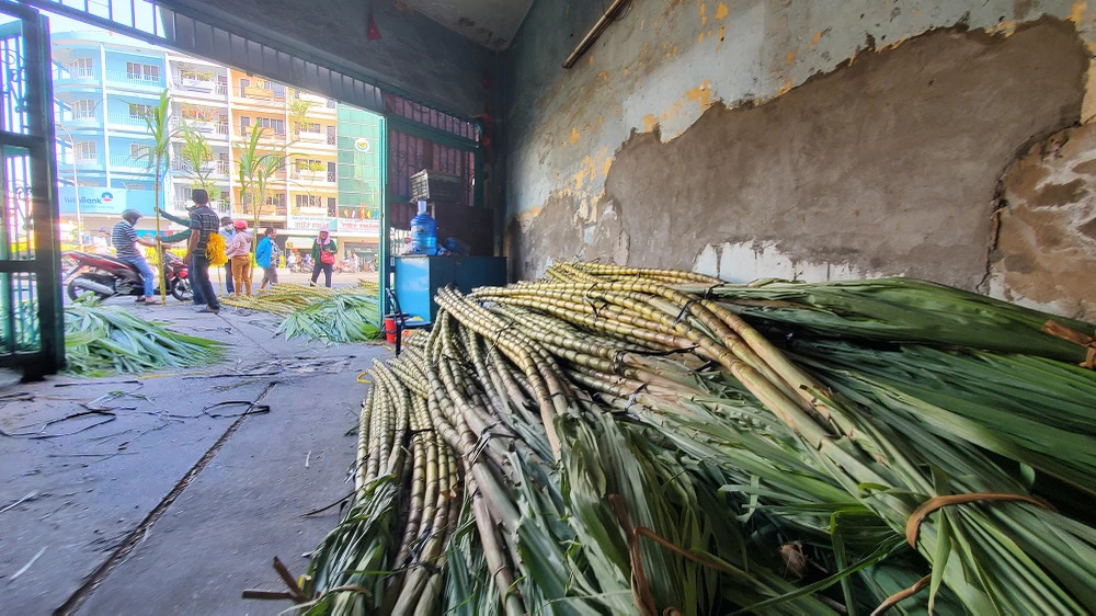 dan-tp-hcm-lua-tung-cay-mia-vang-cung-ngoc-hoang-mong-gia-dao-binh-an (13).jpg