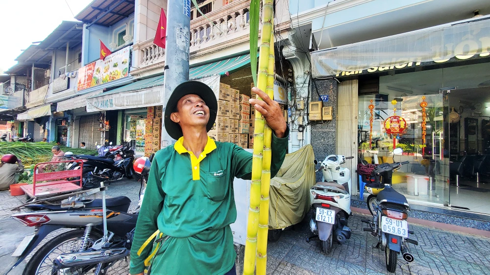 dan-tp-hcm-lua-tung-cay-mia-vang-cung-ngoc-hoang-mong-gia-dao-binh-an (16).jpg
