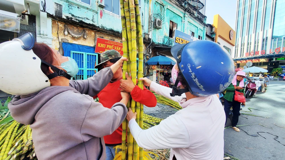 dan-tp-hcm-lua-tung-cay-mia-vang-cung-ngoc-hoang-mong-gia-dao-binh-an (17).jpg