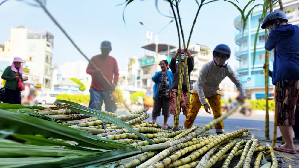 dan-tp-hcm-lua-tung-cay-mia-vang-cung-ngoc-hoang-mong-gia-dao-binh-an (18).jpg