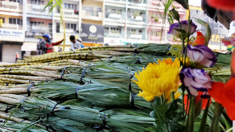 dan-tp-hcm-lua-tung-cay-mia-vang-cung-ngoc-hoang-mong-gia-dao-binh-an (3).jpg