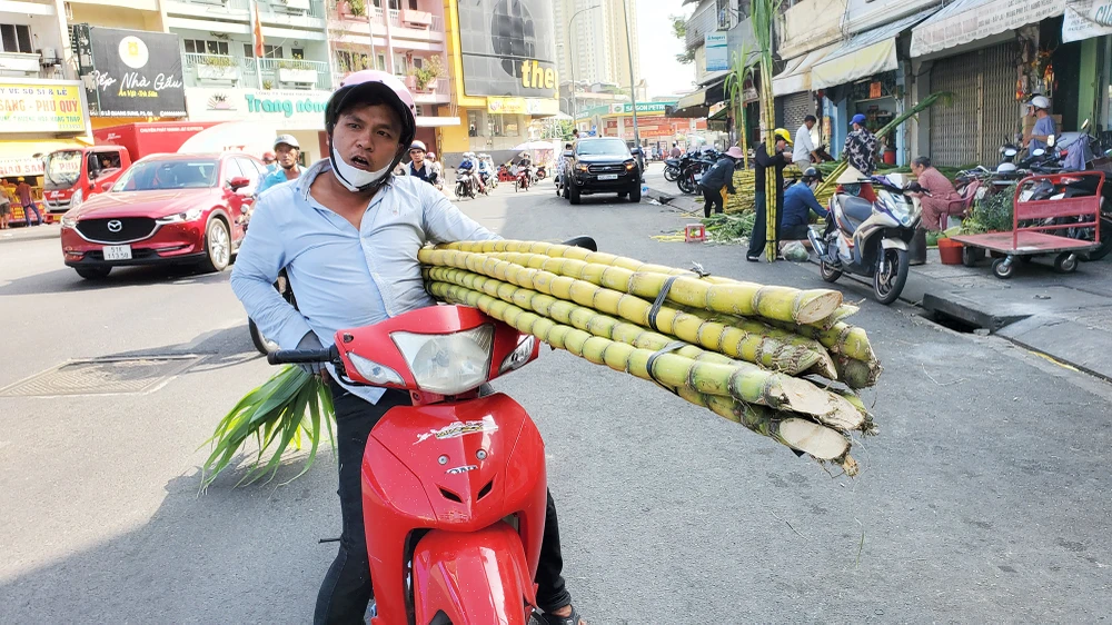 dan-tp-hcm-lua-tung-cay-mia-vang-cung-ngoc-hoang-mong-gia-dao-binh-an (6).jpg