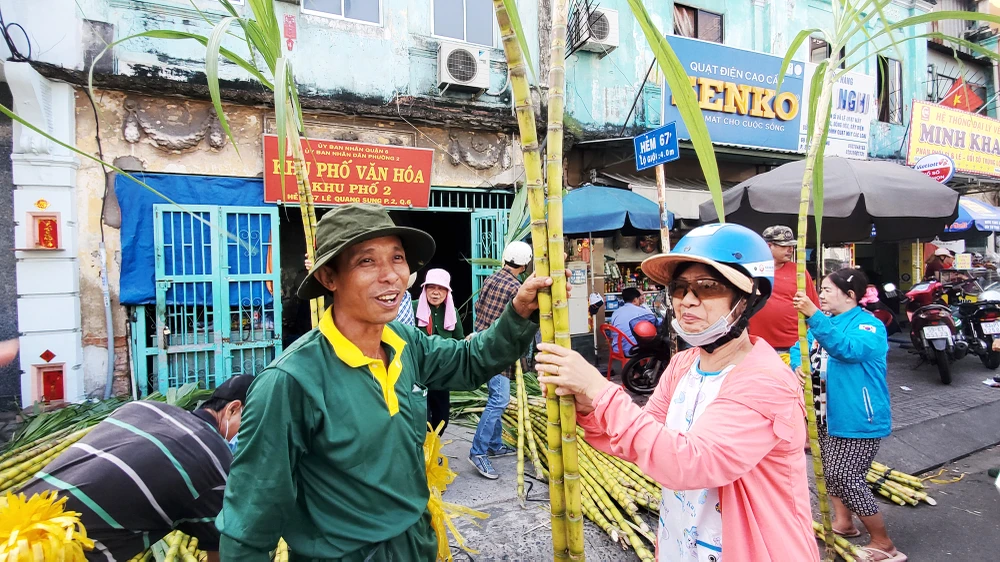 dan-tp-hcm-lua-tung-cay-mia-vang-cung-ngoc-hoang-mong-gia-dao-binh-an (7).jpg