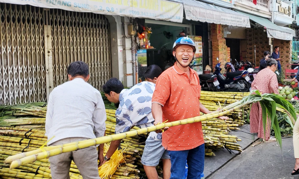 dan-tp-hcm-lua-tung-cay-mia-vang-cung-ngoc-hoang-mong-gia-dao-binh-an (8).jpg