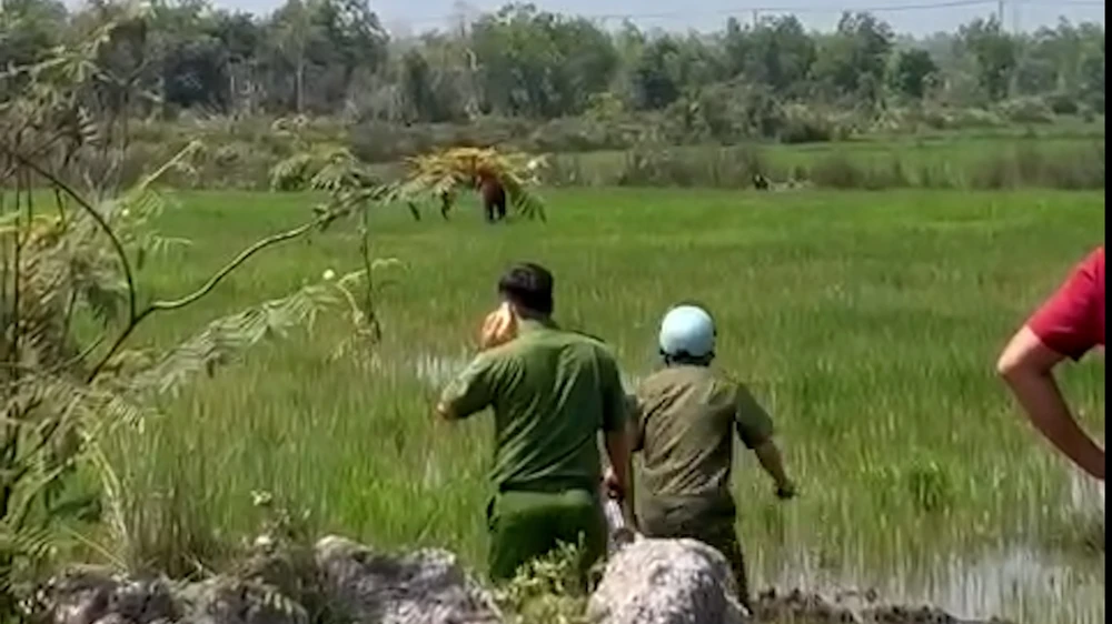 Nam thanh niên lấy xe máy chạy từ Củ Chi qua Long An tự sát