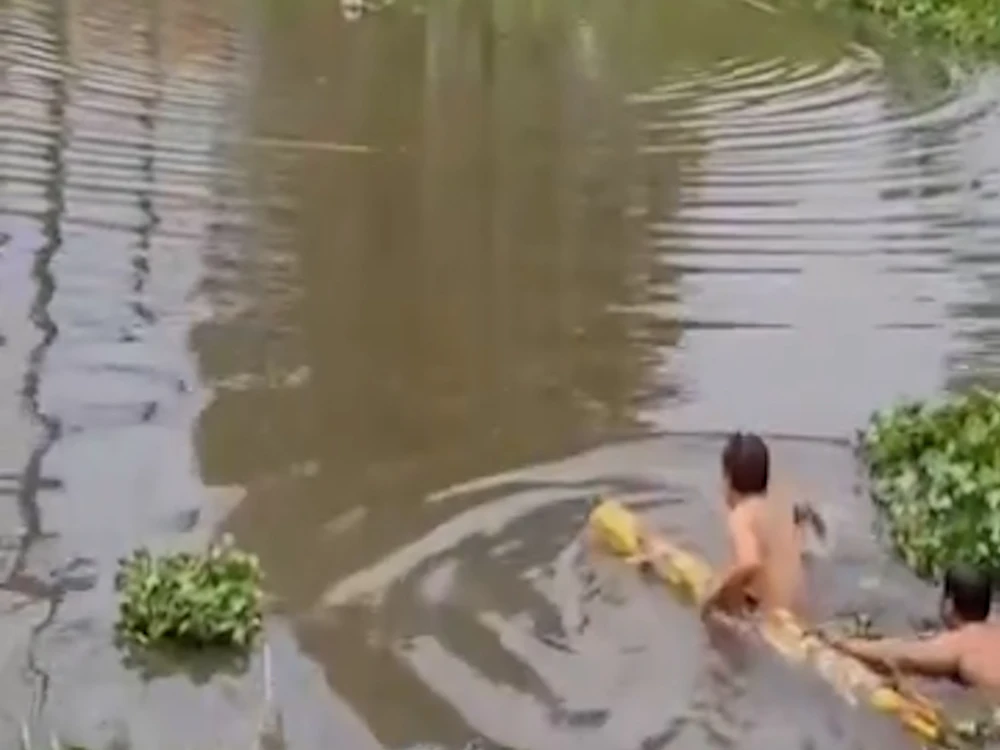 Hai người đàn ông đẩy cây chuối ra giữa sông cùng cứu 1 phụ nữ. Ảnh cắt từ clip