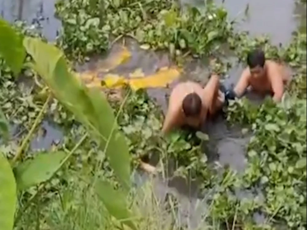2-nguoi-dan-day-cay-chuoi-boi-ra-song-cuu-1-phu-nu-duoi-nuoc.jpg