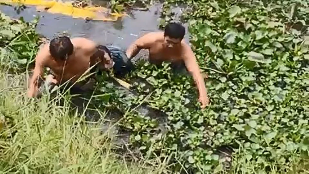 Trần Phong Sương