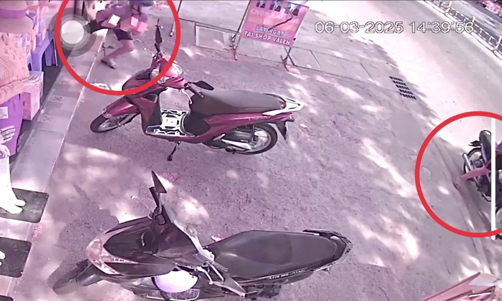 2 thanh niên trộm ba búp bê baby three trong ngày 6-3