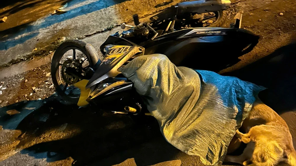 Hai thanh niên chở xác 7 con chó, xịt hơi cay tổ công tác 363 bị bắt