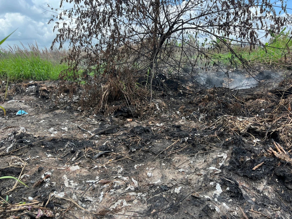 Phát hiện một điểm đốt thuốc, thực phẩm chức năng giữa bãi đất hoang ở Bình Chánh