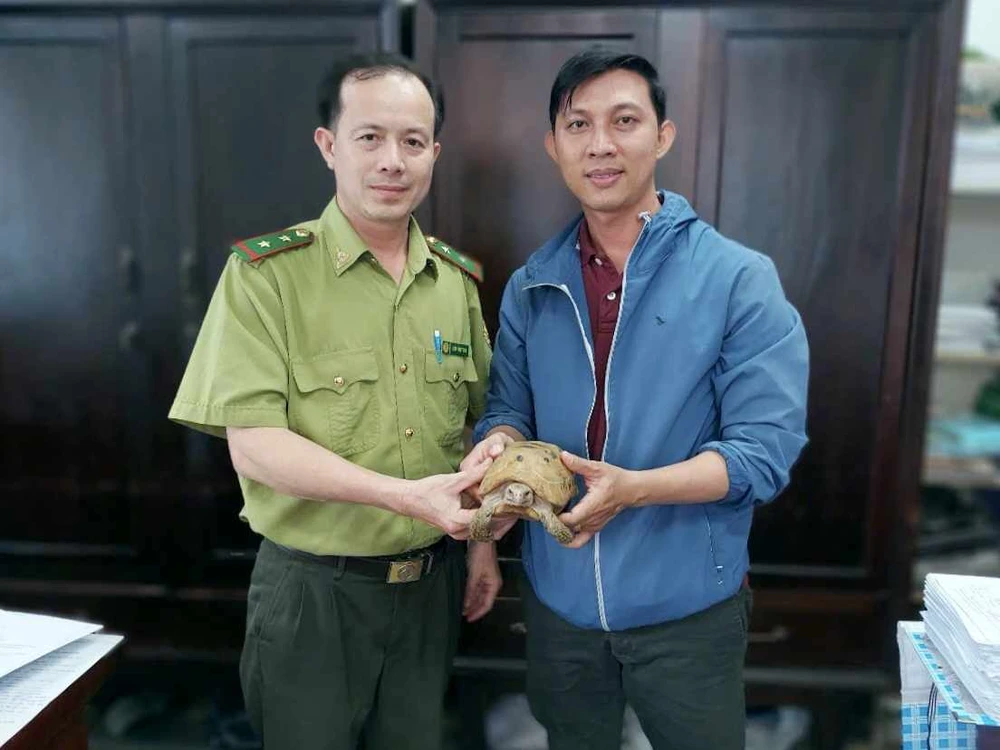 Người dân ở phường Thạnh Mỹ Tây và phường Bàn Cờ phát hiện 2 con rùa núi vàng khi tập thể dục