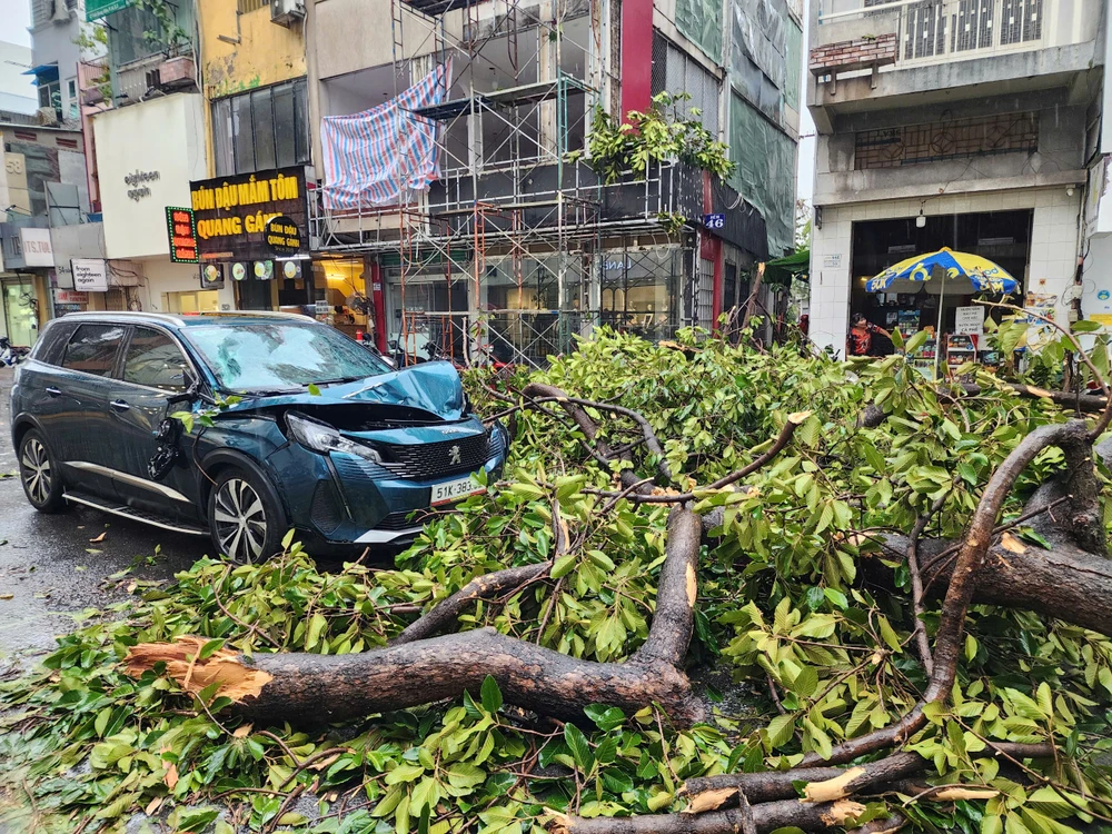 mua-to-gio-lon-cay-do-hang-loat-de-nhieu-o-to-o-tp-hcm (2).jpg