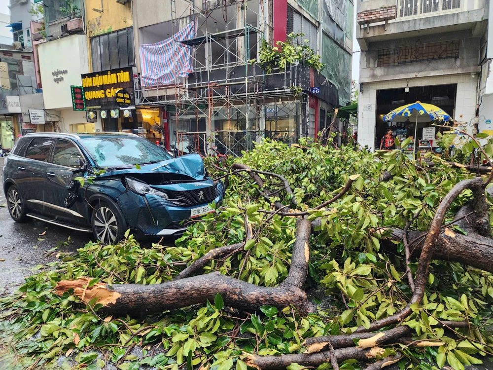 mua-to-gio-lon-cay-do-hang-loat-de-nhieu-o-to-o-tp-hcm (3).jpg