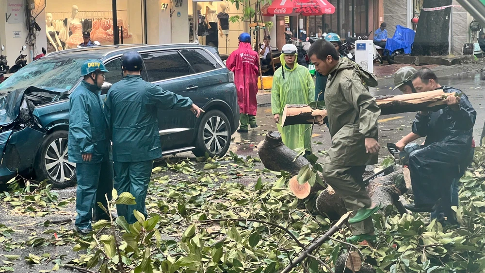 Mưa to gió lớn, cây đổ hàng loạt đè nhiều ô tô ở TP.HCM
