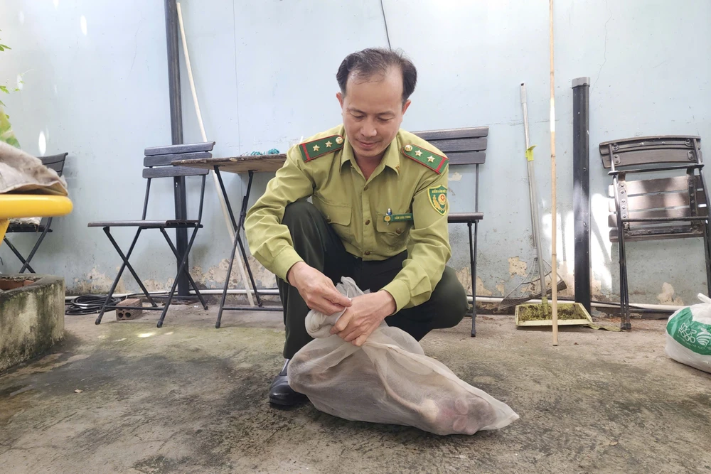 Con khỉ đuôi lợn xổng chuồng, cắn 3 người bị thương ở Bình Tân