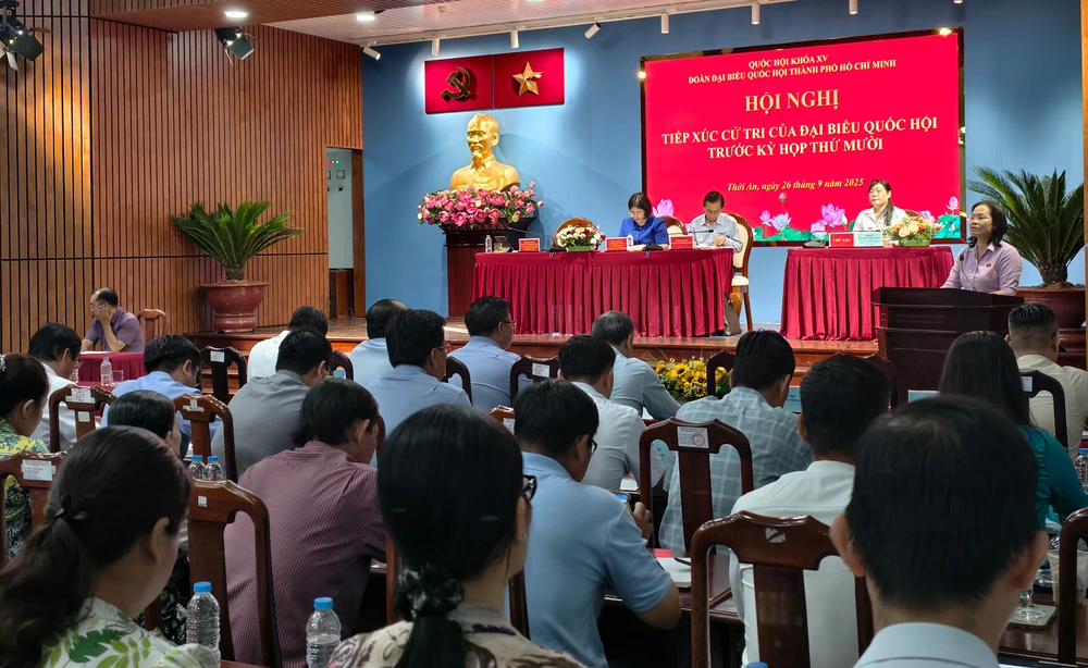 Cử tri 5 phường ở quận 12 cũ nêu ý kiến về tội phạm mạng, hạ tầng giao thông