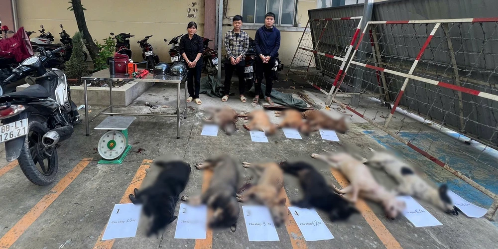 cong-an-tp-hcm-siet-quan-ly-diem-kinh-doanh-vat-nuoi-trom-cap-tieu-thu-cho-meo-09.jpg
