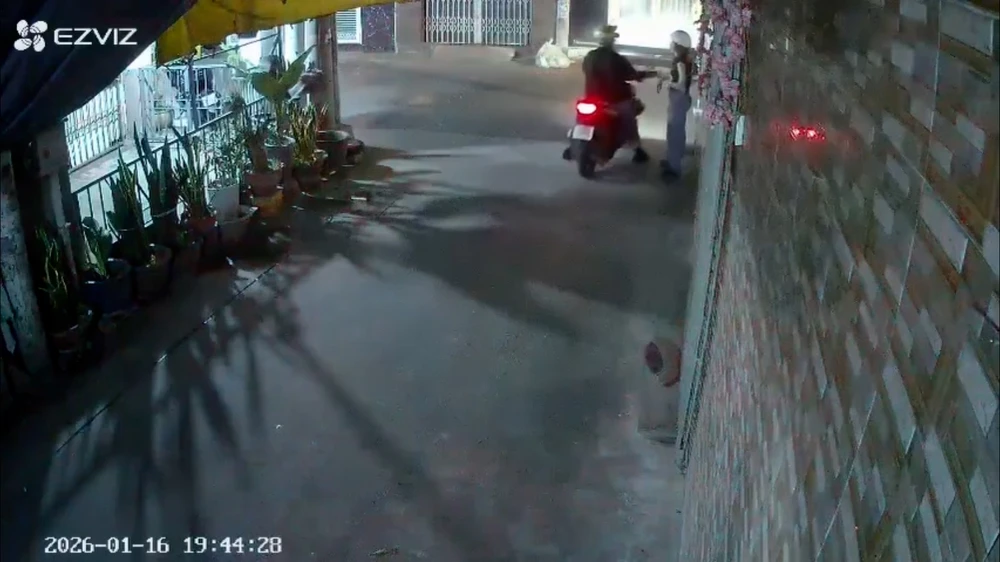 Sequence 01.00_00_19_04.Still005.jpg