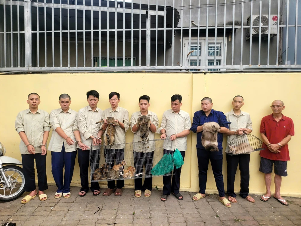 75c3334093501d0e4441 (1).jpg