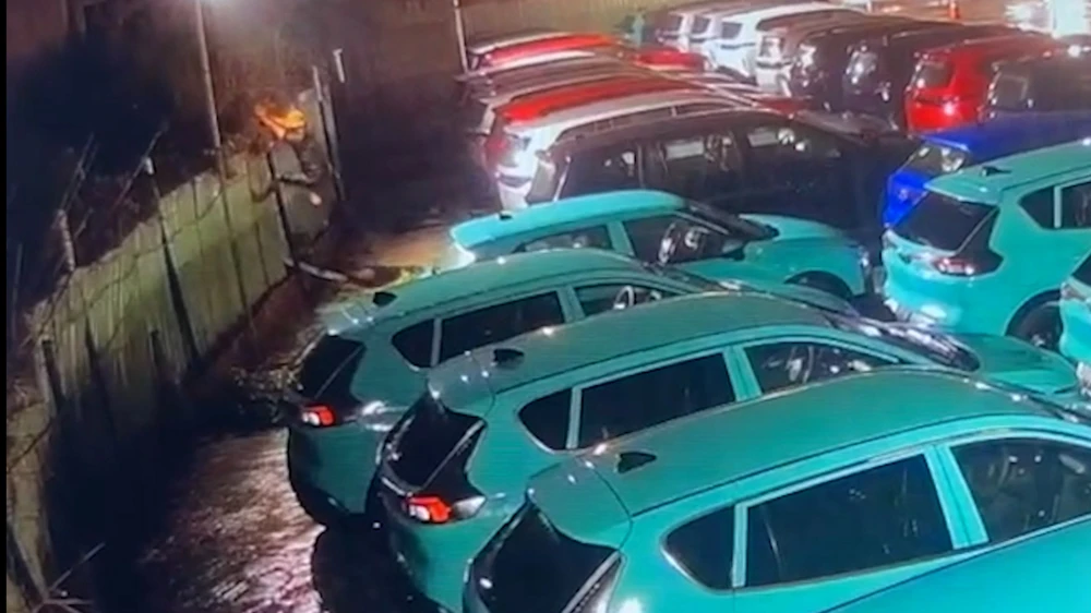 Sequence 06.00_00_37_03.Still006.jpg