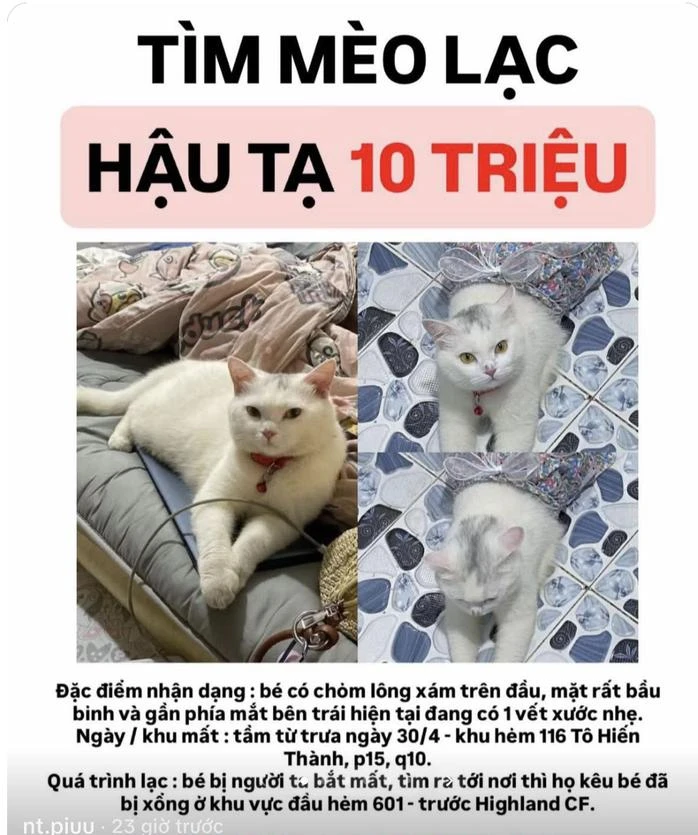 anh-man-hinh-2026-05-11-luc-153957-17784891574651088370249.jpg