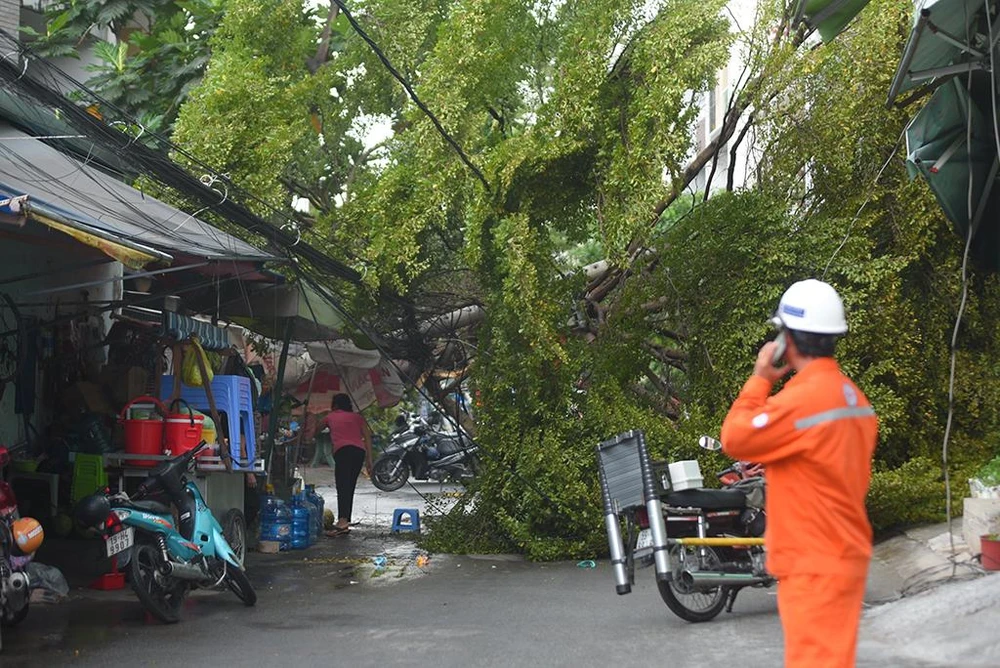 Cây đè lên nhà dân ở Bình Thạnh. Ảnh: ĐC