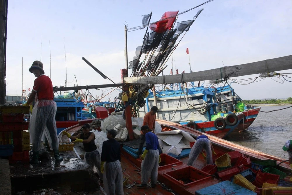 ngu-dan-quang-ngai-ket-thuc-som-chuyen-ra-khoi-vao-bo-tranh-bao (1).jpg