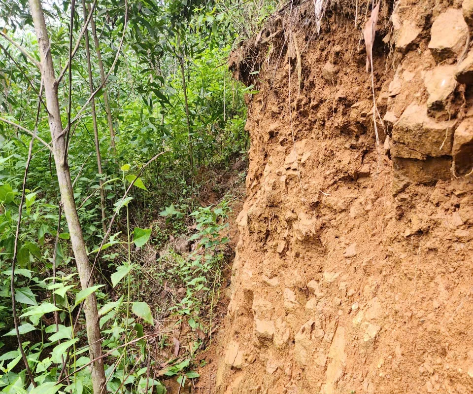 Quảng Ngãi đưa điểm sạt lở núi Mang Kà Muồng thành tình huống khẩn cấp về thiên tai