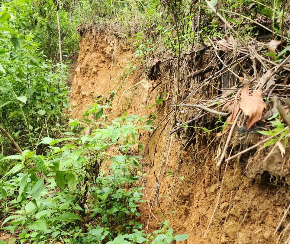 Quảng Ngãi chính thức công bố tình huống khẩn cấp về thiên tai với điểm sạt lở núi Mang Kà Muồng