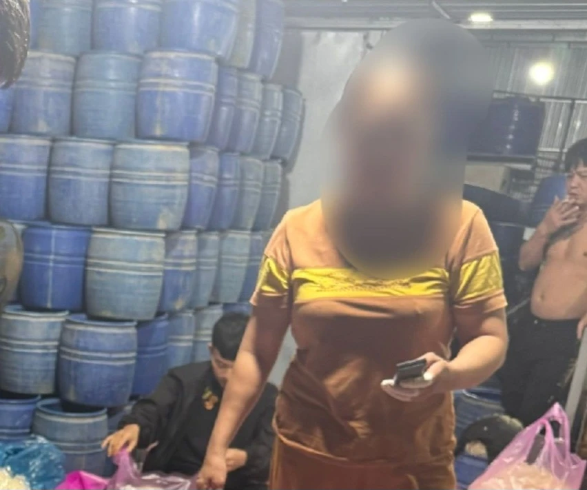 Quảng Ngãi: Phát hiện cơ sở sản xuất giá đỗ dùng hóa chất 6 - Benzylaminopurine