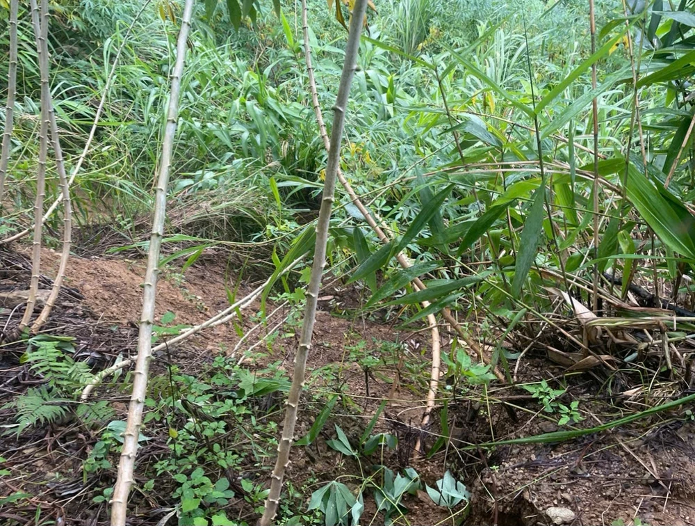 Quả núi nứt toác đe dọa 169 nhân khẩu ở Quảng Ngãi