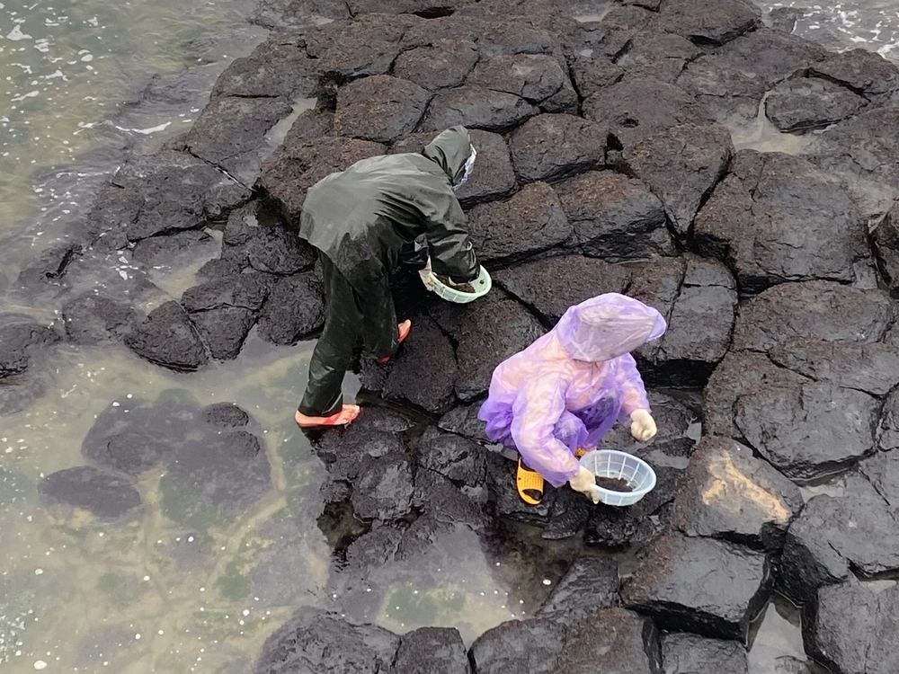 Quảng Ngãi: Hai phụ nữ hái rong mứt rơi xuống biển, một người chết, một người mất tích