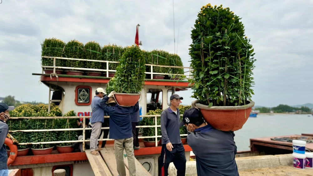 Những chuyến tàu cuối năm mang Tết ra đảo Lý Sơn