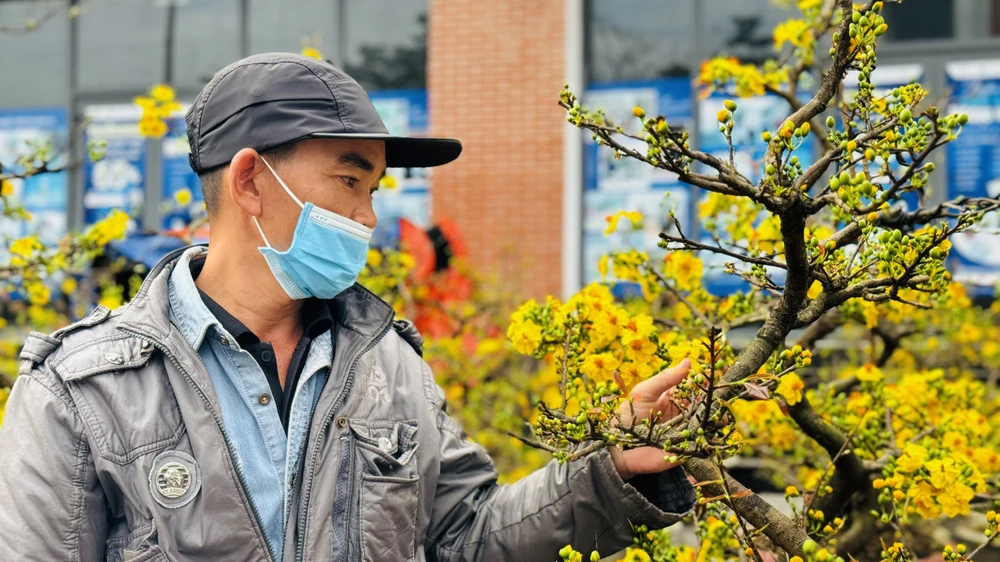 cho-hoa-tet-quang-ngai-e-am-chua-tung-co (12).jpg