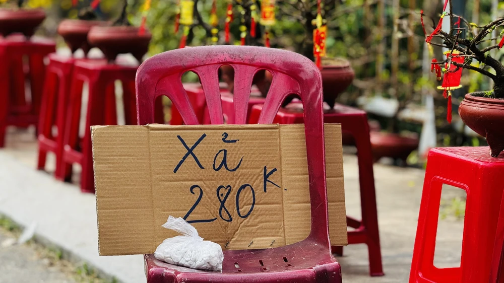 cho-hoa-tet-quang-ngai-e-am-chua-tung-co (13).jpg