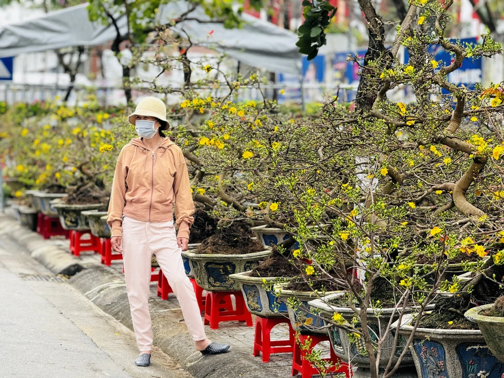 cho-hoa-tet-quang-ngai-e-am-chua-tung-co (20).jpg