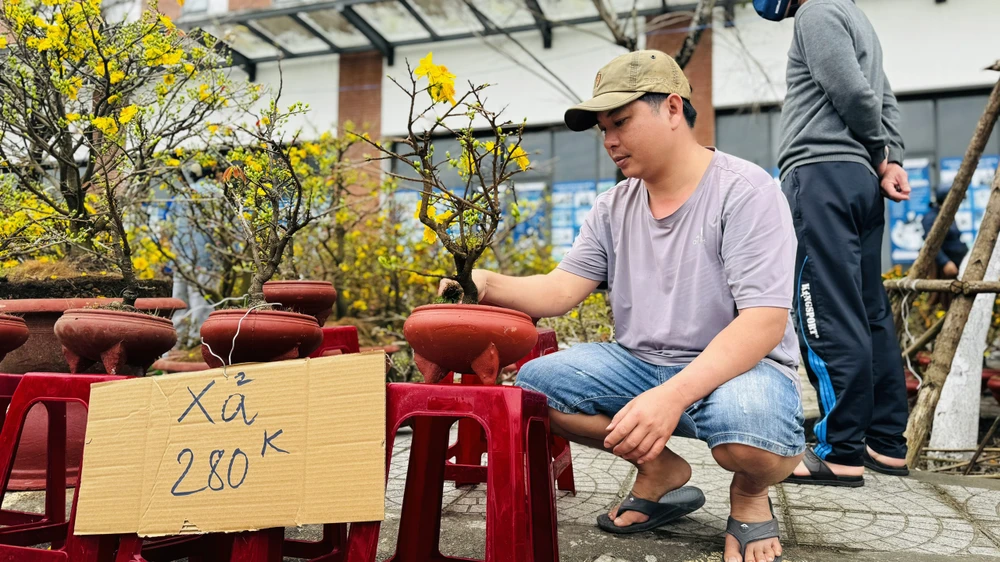 cho-hoa-tet-quang-ngai-e-am-chua-tung-co (3).jpg