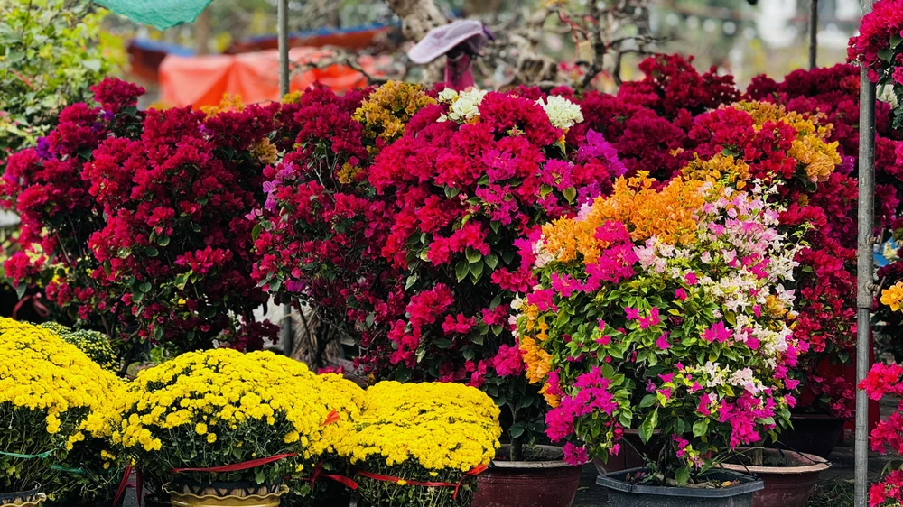 cho-hoa-tet-quang-ngai-e-am-chua-tung-co (4).jpg