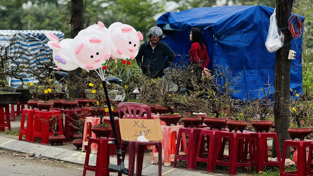 cho-hoa-tet-quang-ngai-e-am-chua-tung-co (5).jpg