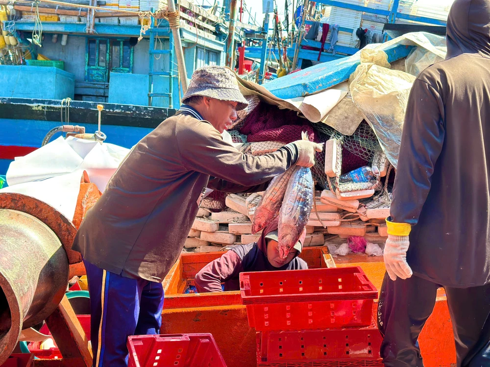 ngu-dan-quang-ngai-boi-thu-chuyen-bien-ngay-giap-tet (11).jpg