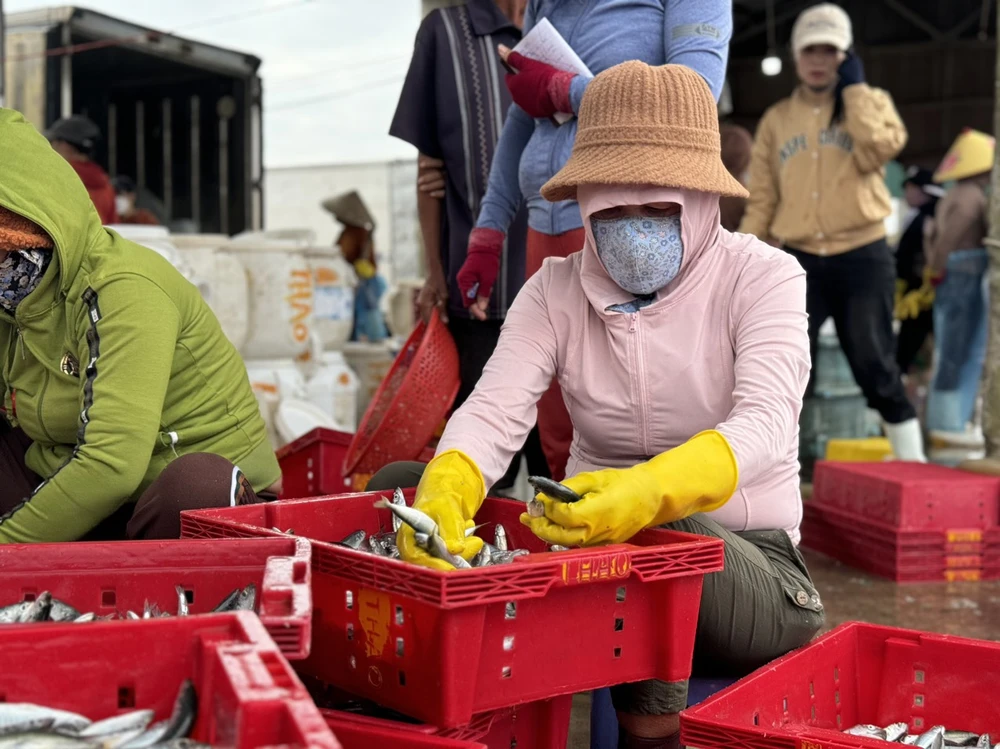 ngu-dan-quang-ngai-boi-thu-chuyen-bien-ngay-giap-tet (3).jpg