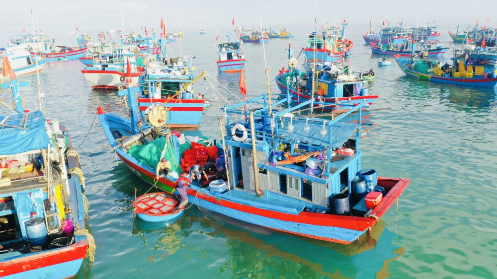 Phiên chợ cá bình minh độc nhất của Quảng Ngãi