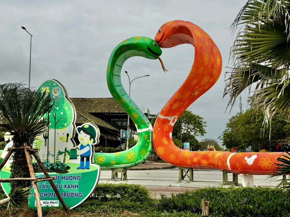 Quảng Ngãi đưa cặp linh vật rắn về biển Mỹ Khê phục vụ du khách