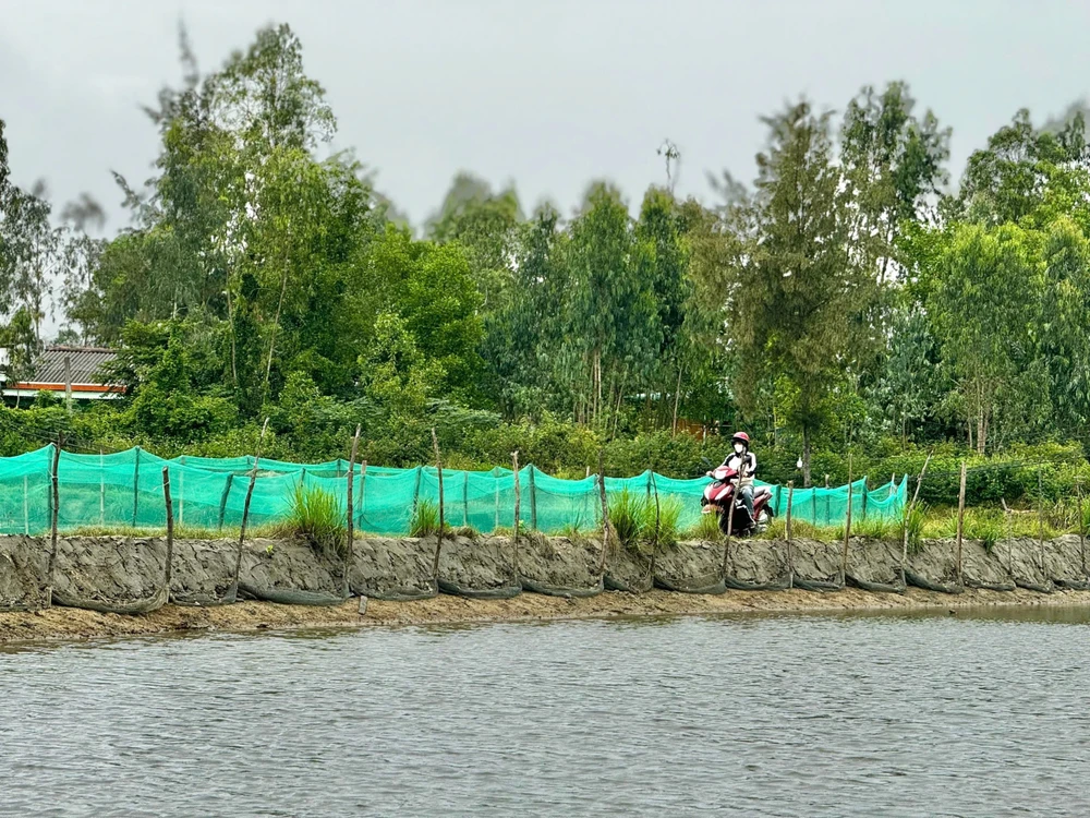 30 hộ dân ở Quảng Ngãi kêu cứu vì 500 mét đường 'hành xác'