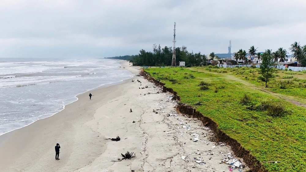 Huy động hơn 350 người ‘cứu’ bờ biển đẹp nhất Quảng Ngãi khỏi nguy cơ bị xóa sổ