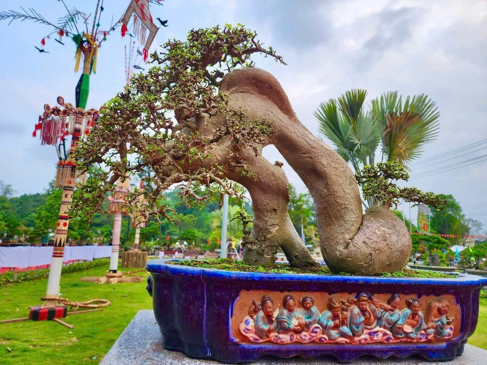 trien-lam-cay-canh-bonsai-doc-dao-voi-hon-1-000-tac-pham-o-quang-ngai-4.jpg