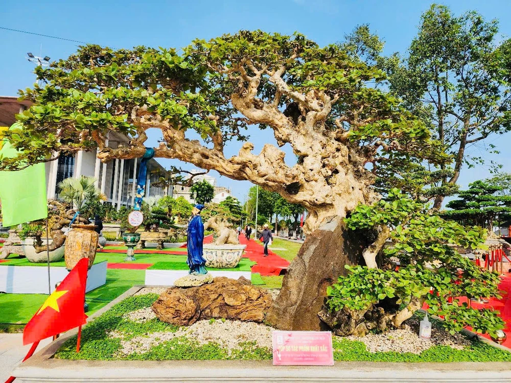 trien-lam-cay-canh-bonsai-doc-dao-voi-hon-1-000-tac-pham-o-quang-ngai-6.jpg